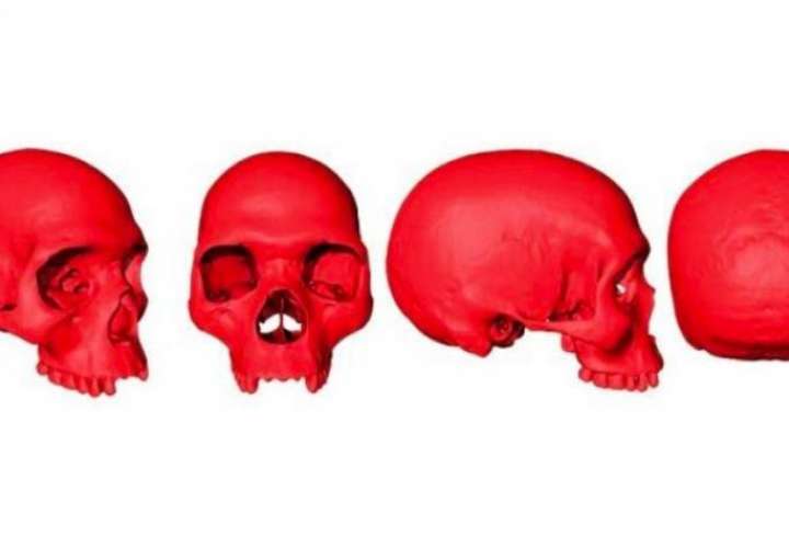 Para los investigadores, este es un cráneo 